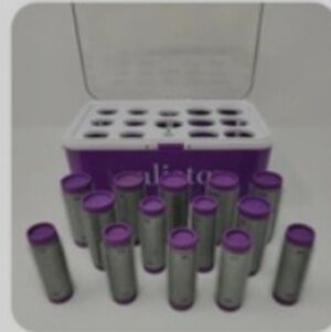 New Calista Maria McCool Hot Rollers